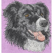 Stickmotiv: Border Collie 2