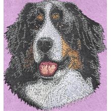 Stickmotiv: Bernese Mountain Hund 1