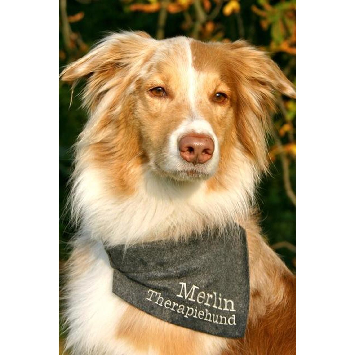 Hundehalstuch Mit Sternen - Weiches Dreieckstuch Für Hunde & Katzen | Schwarz/Mond/Weiß