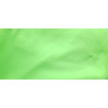 Hundehalstuch mit Namen neon-grn